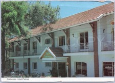 Vintage Postcard Edelweiss