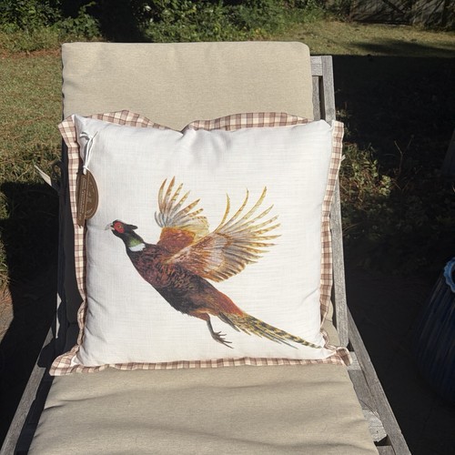 Scottish pheasant grouse bird - pheasant,