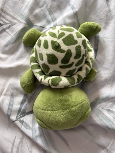 Turtle teddy - turtle,