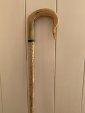 Rams Horn Walking Stick