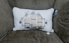 Harry Potter Potion Cushion