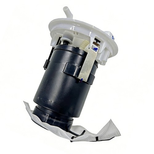 Fuel pump module suitable - module, for