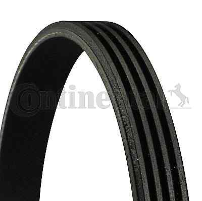 Ribbed belt continental ctam - belt,
