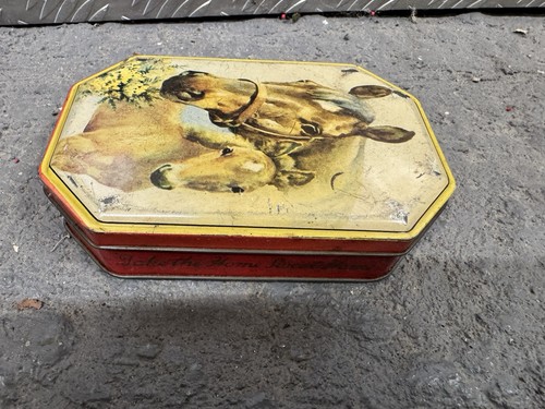 Rare vintage tin with horse - vintage,