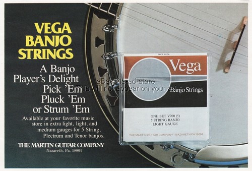 1984 vega banjo - strings, martin