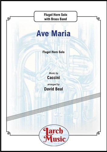 Ave maria flugel - ave,