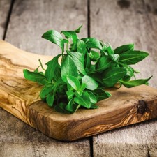 Organic Basil Seeds Herb