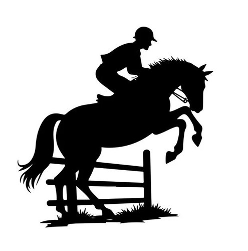 Show jumping horse - show,
