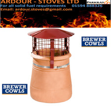 Chimney Bird Guard - Chimney