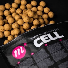 Mainline Cell Shelf Life