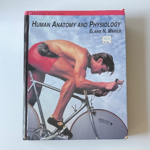 Human anatomy and physiology - anatomy,