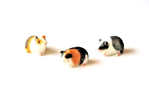 Fairy garden animals - fairy, guinea