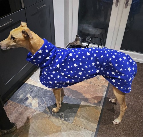Stars starry fleece dog house - fleece,