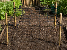 Stretch scrog net - net, x