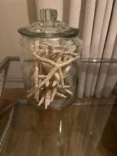 12 Dried Pointer Starfish 6-7”  In Large Display Glass Jar. Ht 12” To Top Of Lid