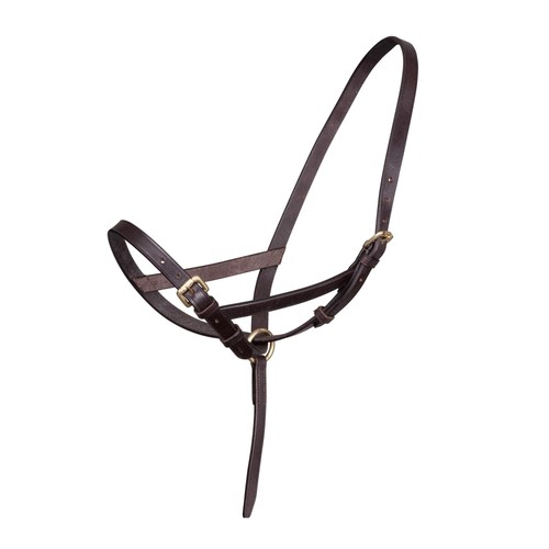 Shires velociti gara leather - velociti,
