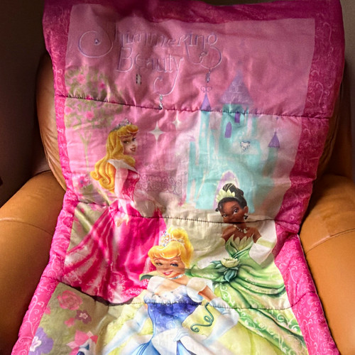 Disney princess shimmering - princess,