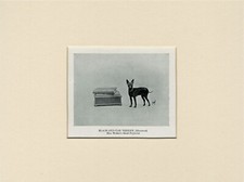 ENGLISH TOY BLACK & TAN TERRIER OLD 1950 NAMED DOG PRINT MOUNTED READY TO FRAME