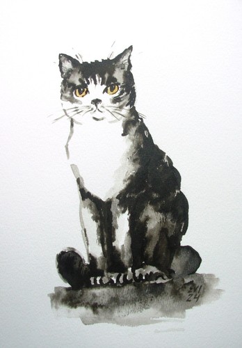Cat black and - and, original