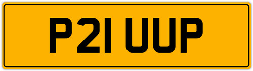 Pick truck old reg - up,