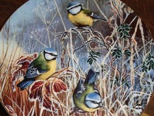 Coalport Collectors Plate WINTER BLUETIT From FROSTY MORNINGS