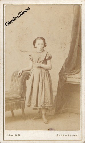Shrewsbury cdv girl - shrewsbury, short