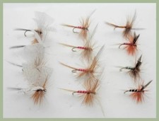 12 Pack Dry Flies - Lunns