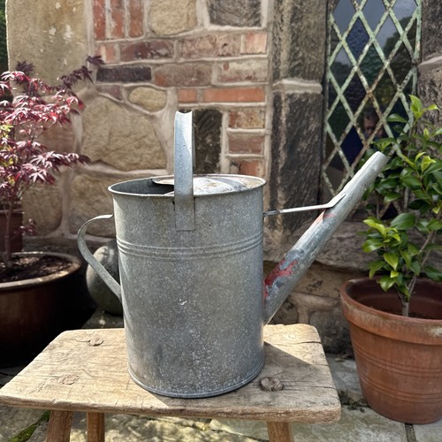 Vintage galvanized watering - vintage,