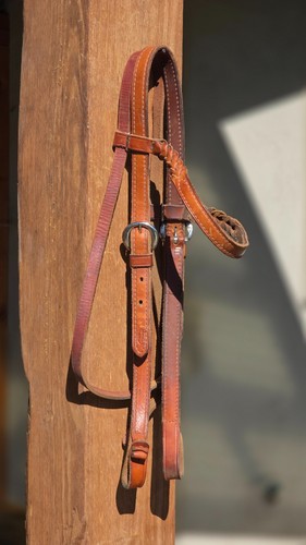 Vintage champion turf - champion,