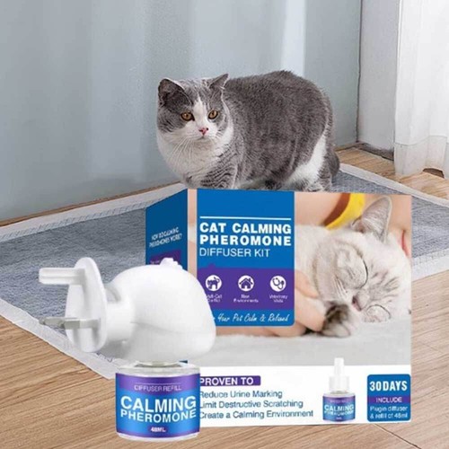 Calming pheromone day - calming,