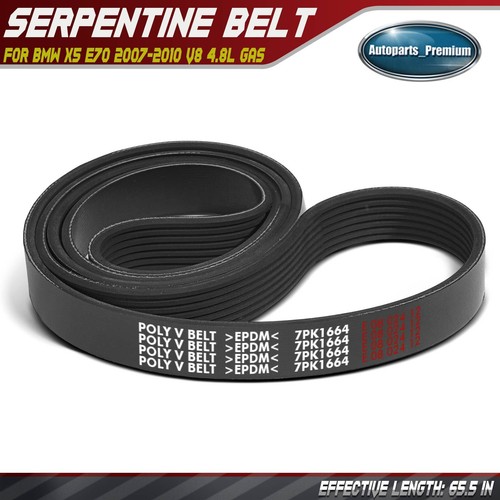 Serpentine belt for - 65.5, in