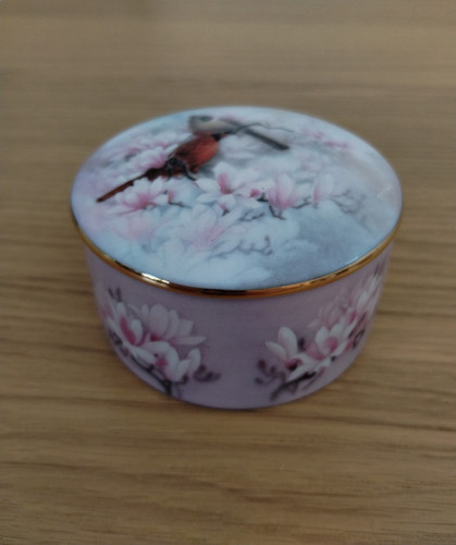 New dawn cardinals magnolia - new,