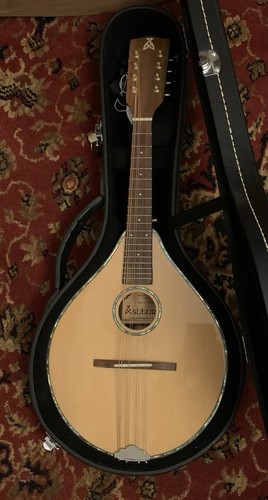 Ashbury electro acoustic - ashbury, electro-acoustic