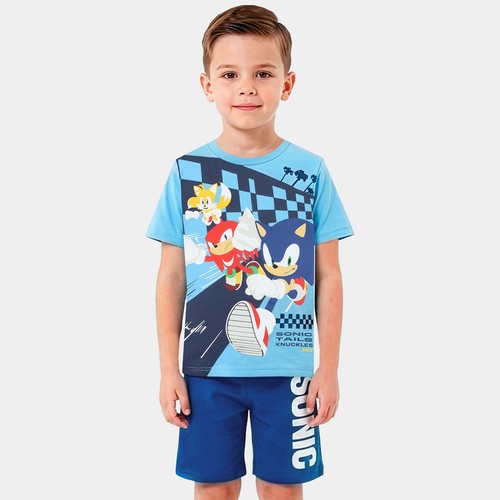 Sonic the hedgehog - the,