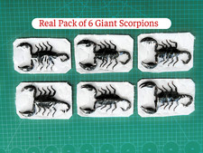 6 Scorpions Wall Decor Real