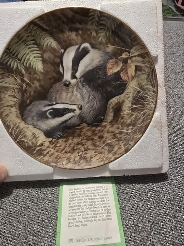 The forest year badgers - year,
