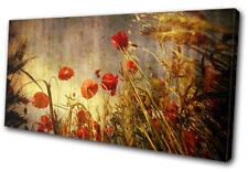 Poppies Flowers Red Poppy