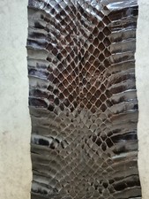 Vintage Real Snakeskin ~ 175 x