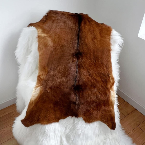 Red deer hide rug - deer,