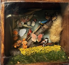 Faux Taxidermy Display Case