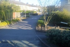 Photo 6x4 Oak Tree Avenue