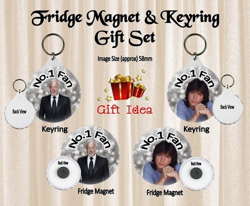 Rtro music badge style fridge - music,