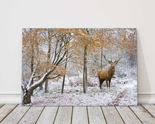 Winter scene with Stag in a