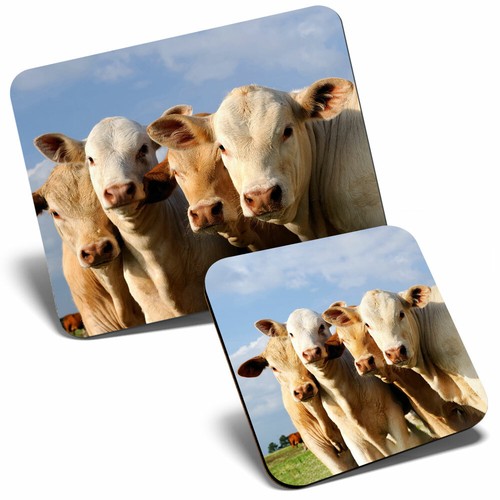 Mouse mat coaster set cows - mat,