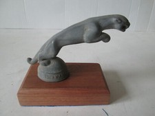 Hoffman Jaguar mascot