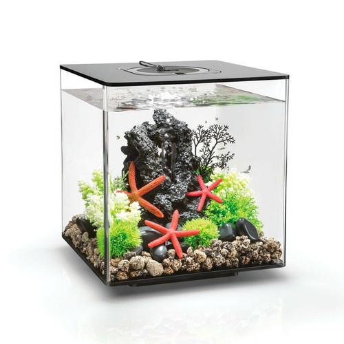 Biorb cube aquarium - 30,