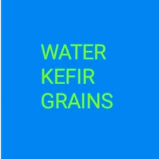 Water Kefir grains (40g 500ml