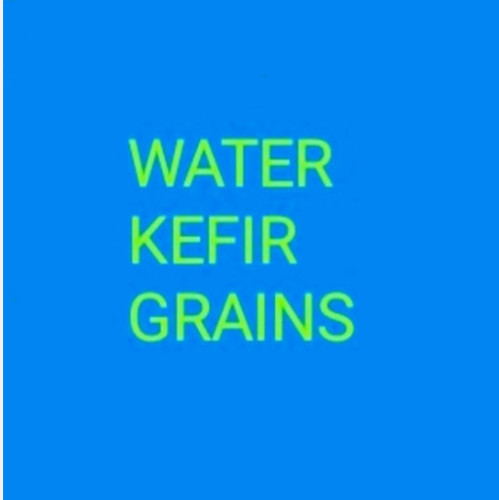 Water kefir grains - kefir, 500ml