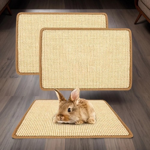 Rabbit chew scratch - chew, &