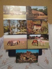 7x Postcards of New Forest